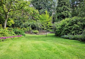 Optimiser l'expérience du jardin à Bourg-des-Maisons